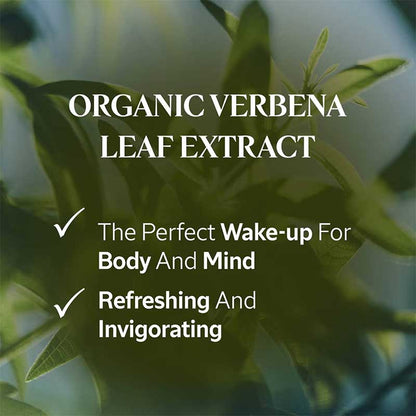 L'OCCITANE Shea Verbena Hands & Body Liquid Soap